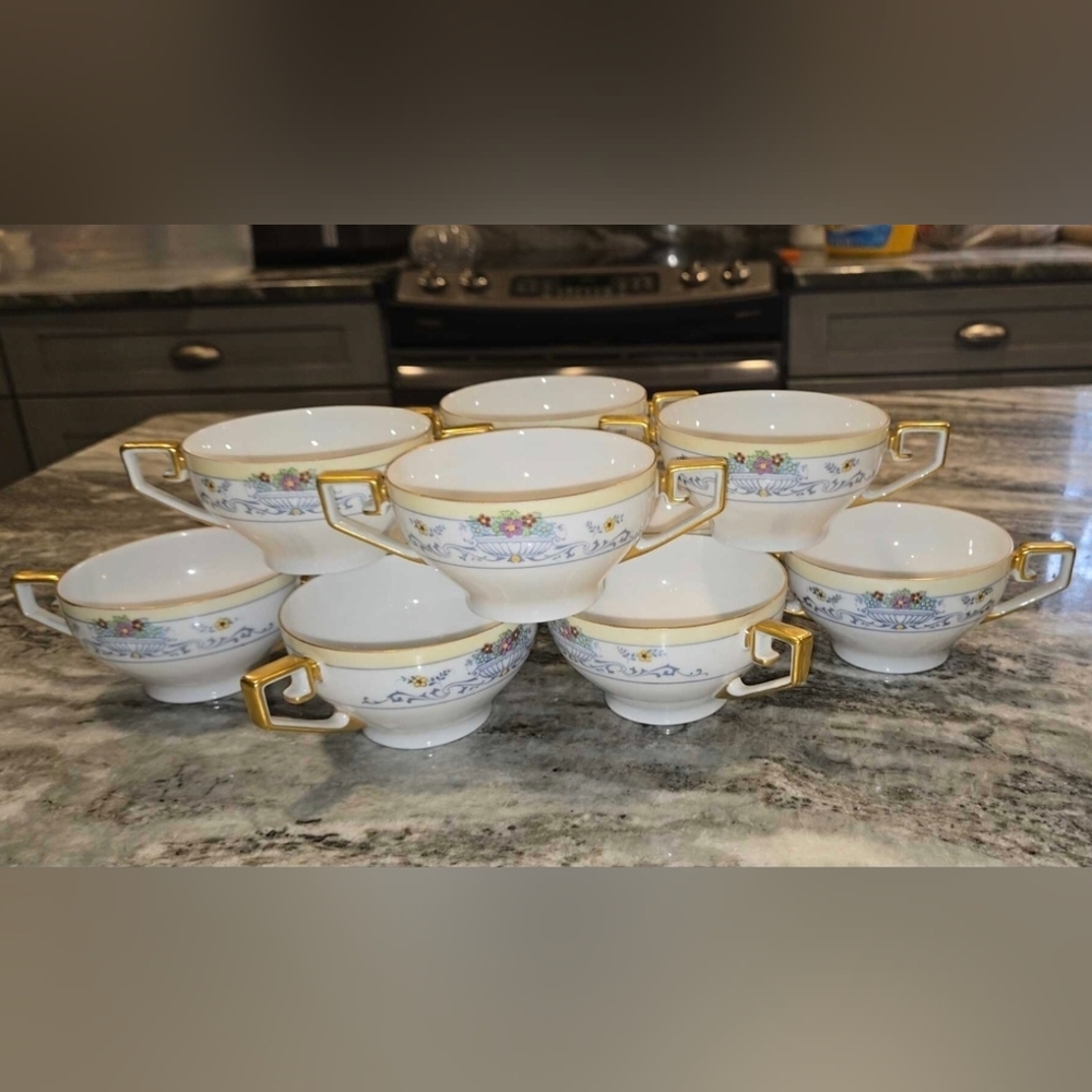 PT Bavaria Tirschenreuth 4272 Hand Painted Soup Cups Set of 10